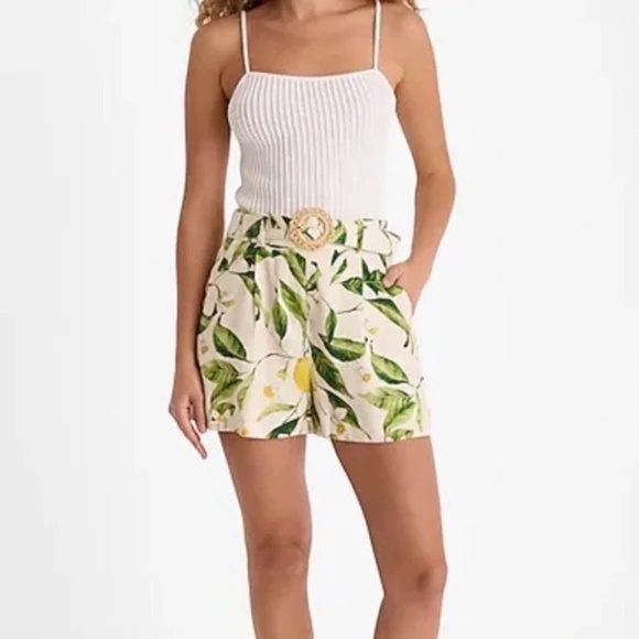 New! Express High Waisted Belted Lemon Print Shorts 45773 - Picture 2 of 14